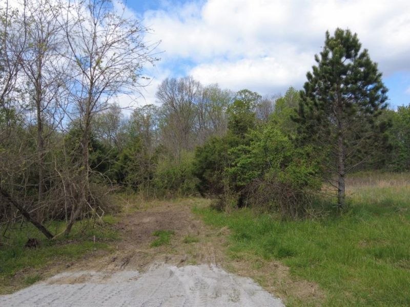 ac Wilma Lane, Sprigg Twp, OH 45144 Photo 3