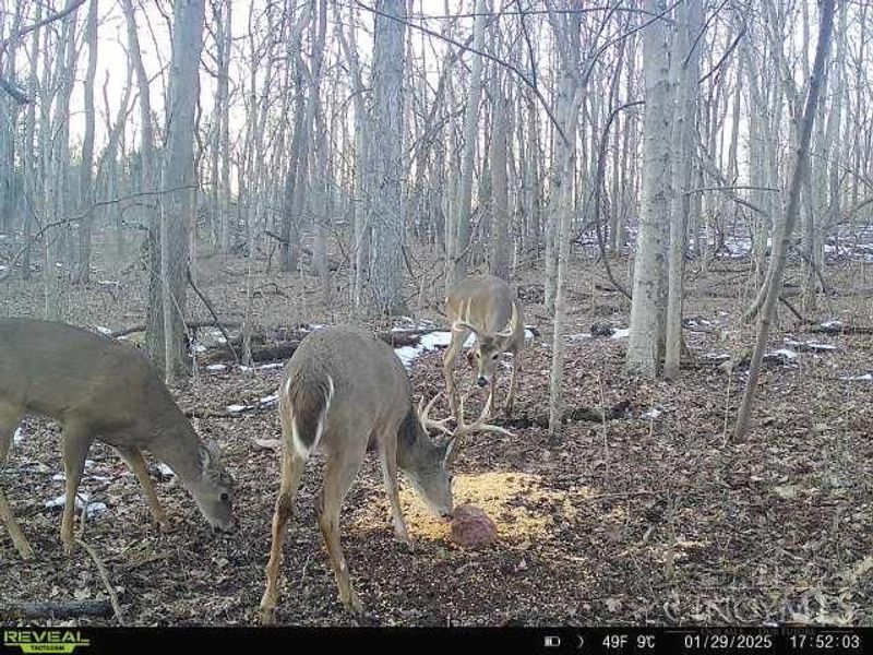 ac Wilma Lane, Sprigg Twp, OH 45144 Photo 32