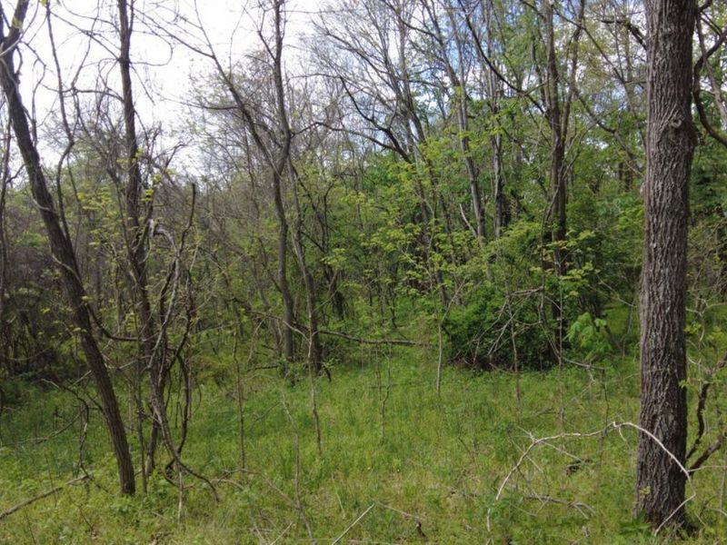 ac Wilma Lane, Sprigg Twp, OH 45144 Photo 6