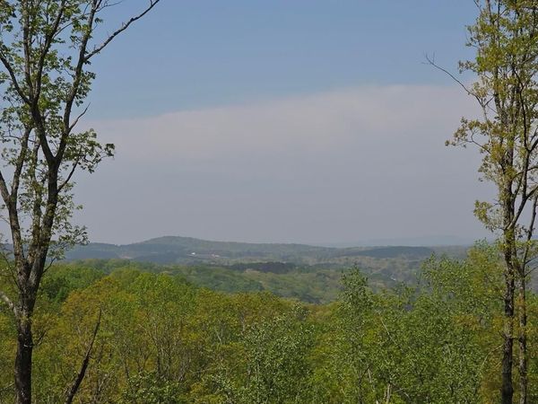 Lot 105 Twisted Oak Road, Talking Rock, GA 30175