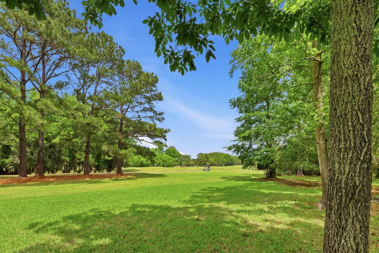 3314 Cottonfield Drive Photo 55