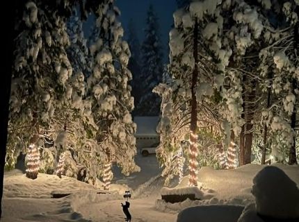 22422 Conte Ct, Mi Wuk Village, CA 95346 Photo