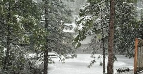 22422 Conte Ct, Mi Wuk Village, CA 95346 Photo