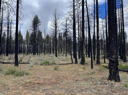 10179 Frenchman Blvd, Chilcoot, CA 96105 Photo