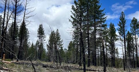 10179 Frenchman Blvd, Chilcoot, CA 96105 Photo