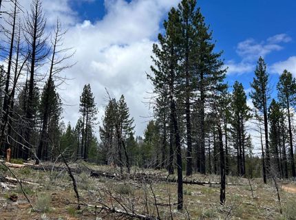 10179 Frenchman Blvd, Chilcoot, CA 96105 Photo