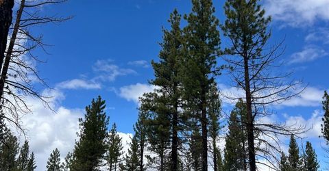 10179 Frenchman Blvd, Chilcoot, CA 96105 Photo