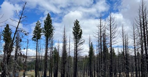 10179 Frenchman Blvd, Chilcoot, CA 96105 Photo