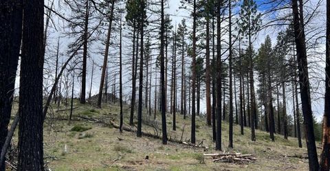 10179 Frenchman Blvd, Chilcoot, CA 96105 Photo