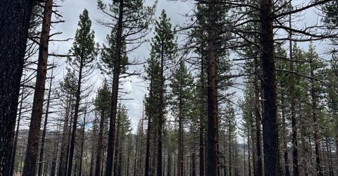 10179 Frenchman Blvd, Chilcoot, CA 96105 Photo