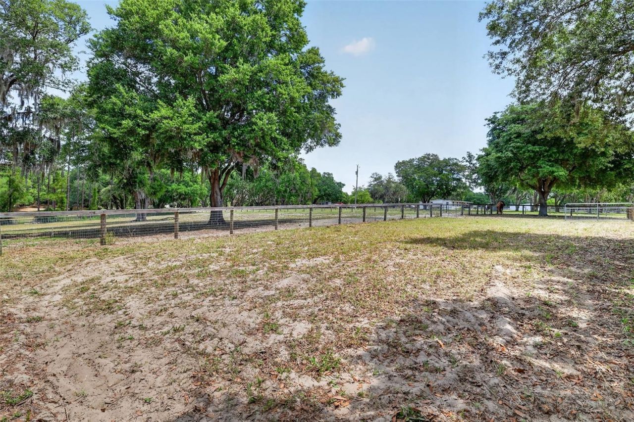 11241 Em En El Grove Road , Leesburg, FL 34788 Photo