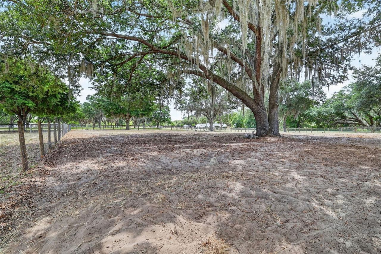 11241 Em En El Grove Road , Leesburg, FL 34788 Photo