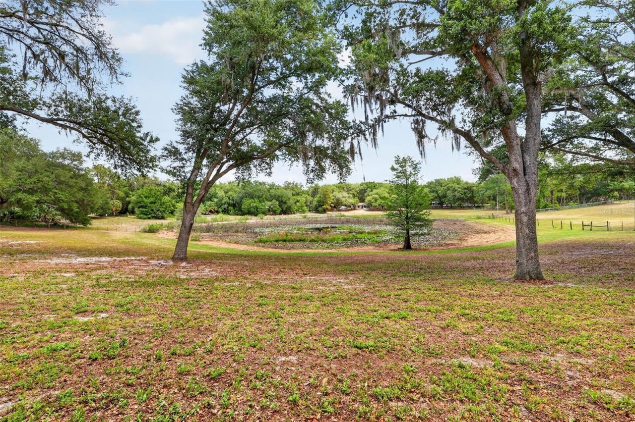 11241 Em En El Grove Road , Leesburg, FL 34788 Photo