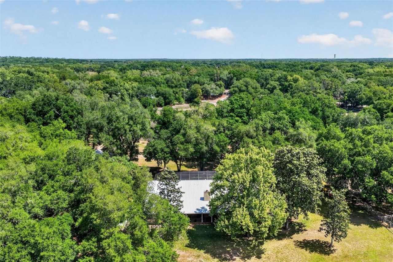 11241 Em En El Grove Road , Leesburg, FL 34788 Photo