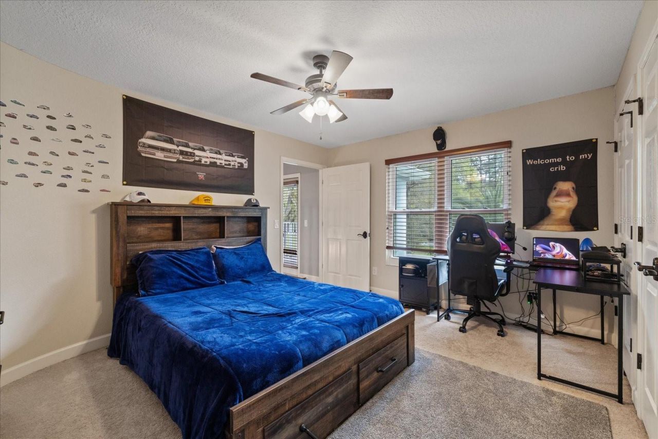27625 Lincoln Place, Wesley Chapel, FL 33544 Photo
