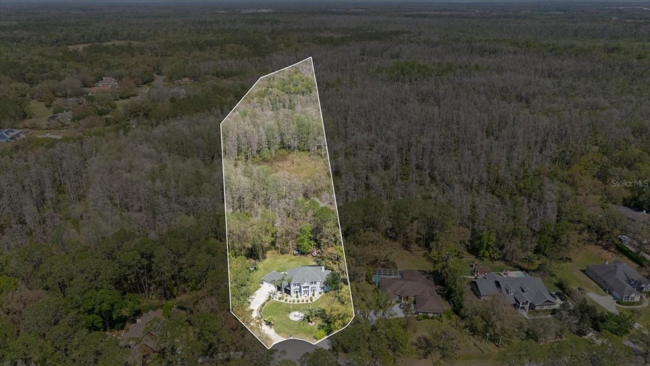 27625 Lincoln Place, Wesley Chapel, FL 33544 Photo