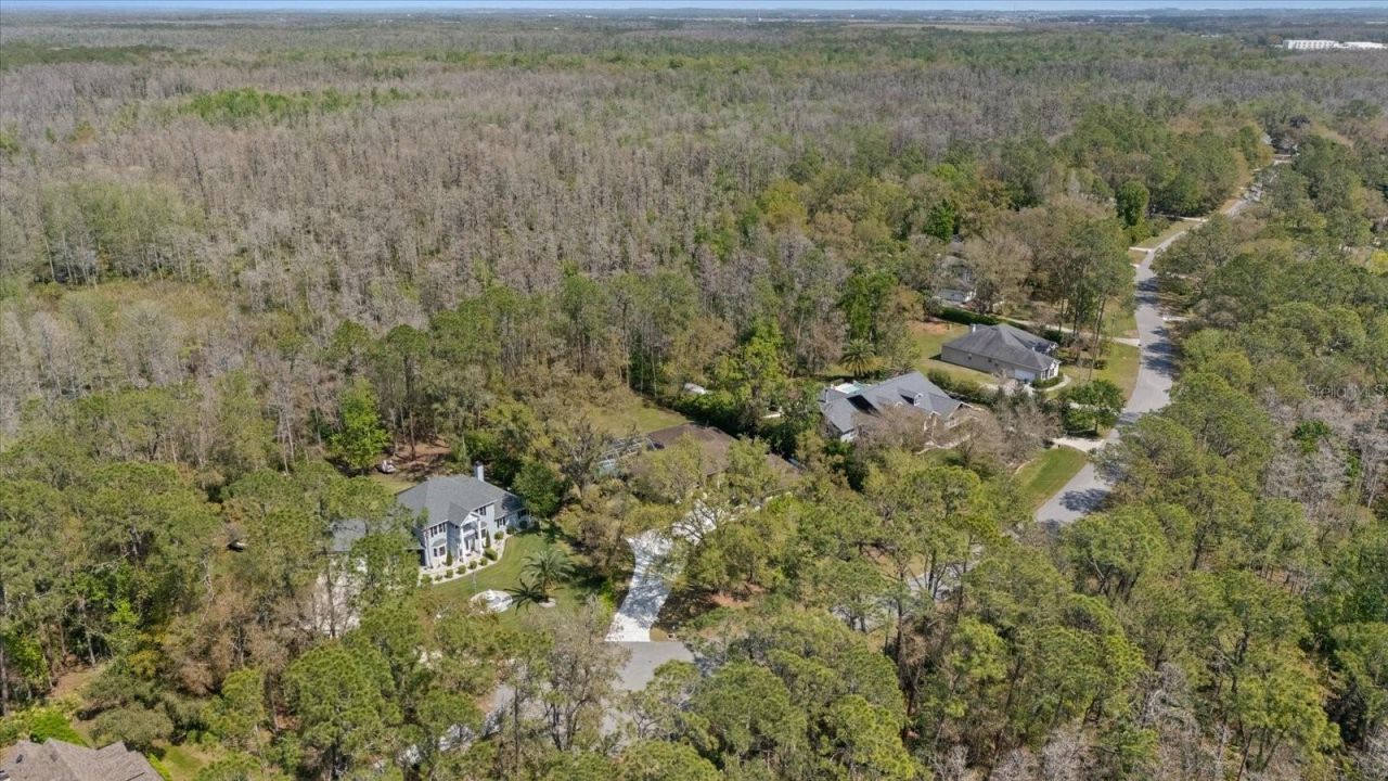 27625 Lincoln Place, Wesley Chapel, FL 33544 Photo