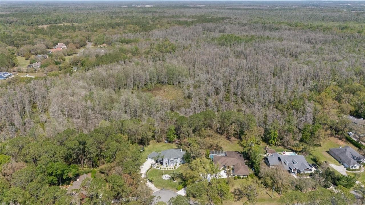 27625 Lincoln Place, Wesley Chapel, FL 33544 Photo