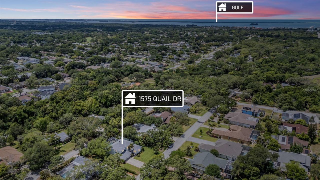 1575 Quail Drive, Dunedin, FL 34698 Photo