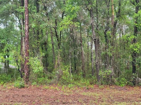 9781 N LORETTA WAY , CITRUS SPRINGS, FL 34434