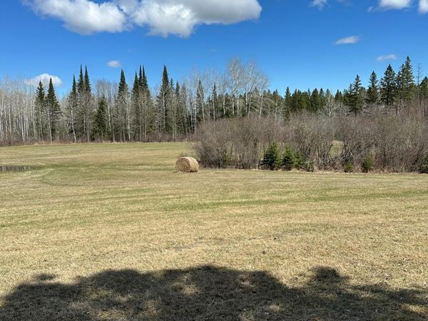TBD 307 , Blackduck, MN 56630