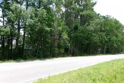 Burcale Rd. photo 4