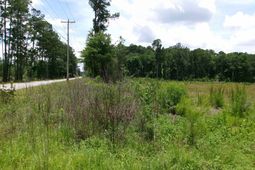 Burcale Rd. photo 4