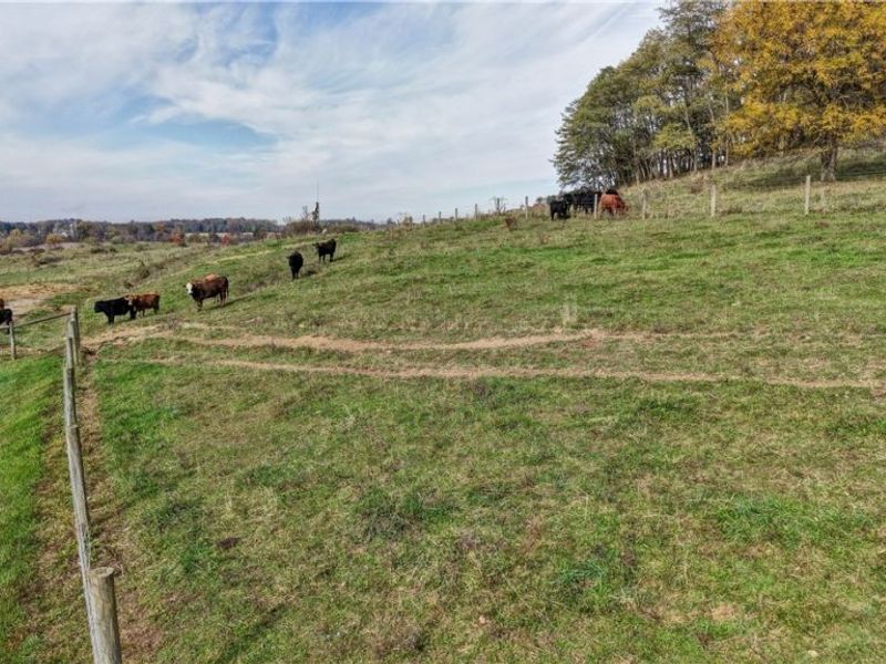 Kemary Avenue SW, Navarre, OH 44662 Photo 8