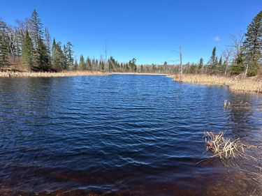TBD CT 307, Blackduck, MN 56630