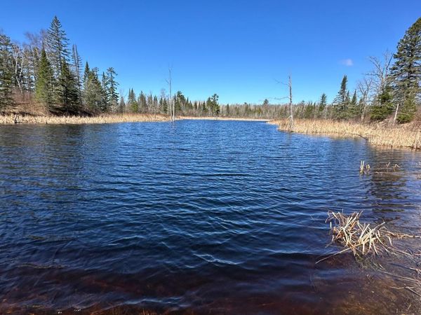 TBD CT 307 , Blackduck, MN 56630