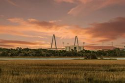 706 Arcadian Way photo 4