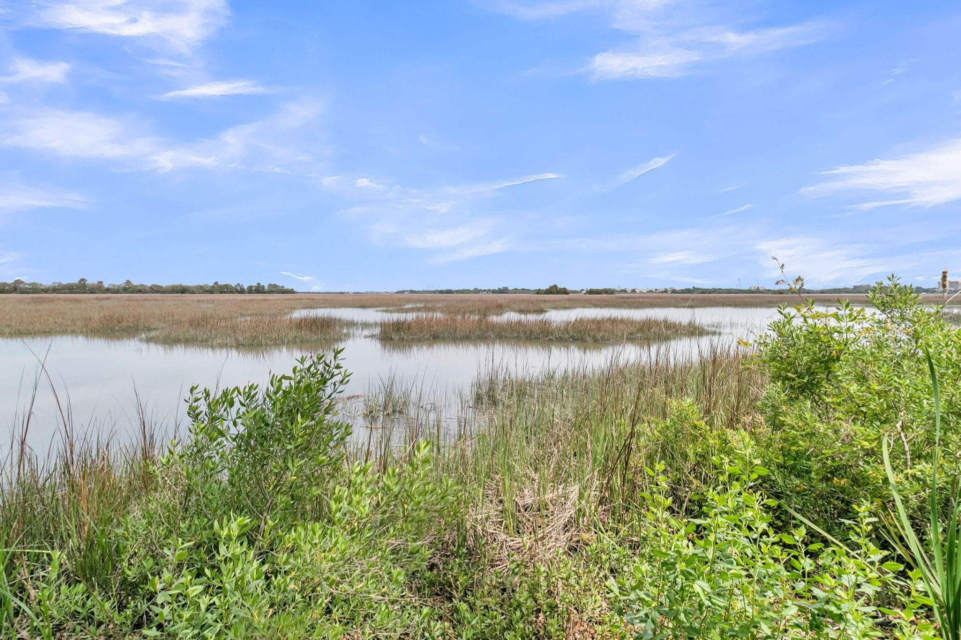 706 Arcadian Way Photo 52