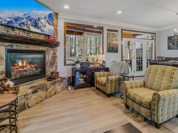 16 Black Bear Cir, Snowshoe, WV 26209