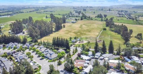 279 Russian Flag Way, Sonoma, CA 95476 Photo