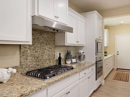 1120 S Shields Ave, Mountain House, CA 95391 Photo