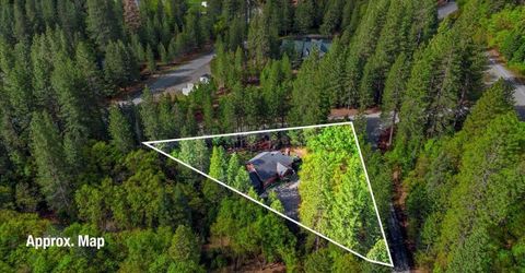 101 Lewis Ln., Sierra City, CA 96125 Photo