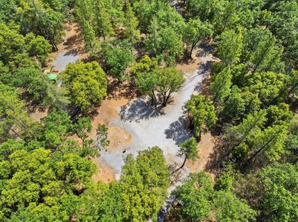 1451 Big Oak Rd, Placerville, CA 95667 Photo