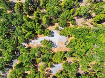 1451 Big Oak Rd, Placerville, CA 95667 Photo