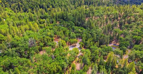 1451 Big Oak Rd, Placerville, CA 95667 Photo