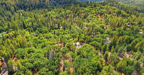 1451 Big Oak Rd, Placerville, CA 95667 Photo