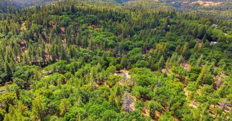 1451 Big Oak Rd, Placerville, CA 95667 Photo