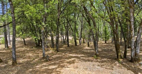 1451 Big Oak Rd, Placerville, CA 95667 Photo