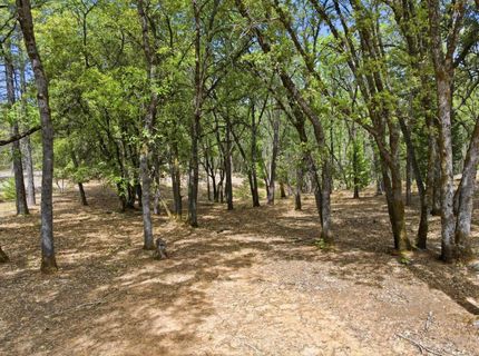 1451 Big Oak Rd, Placerville, CA 95667 Photo