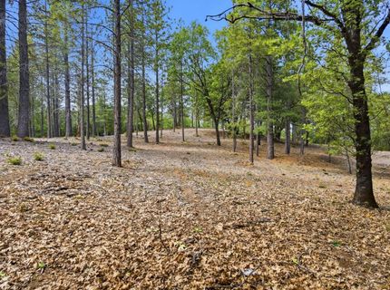 1451 Big Oak Rd, Placerville, CA 95667 Photo