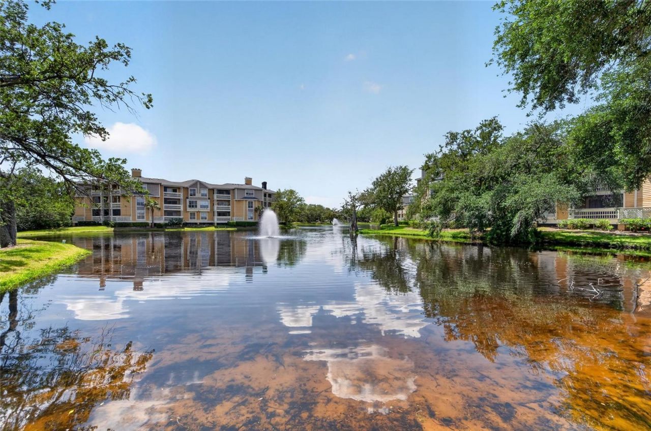 115 112th Avenue Ne, Unit 406, Saint Petersburg, FL 33716 Photo