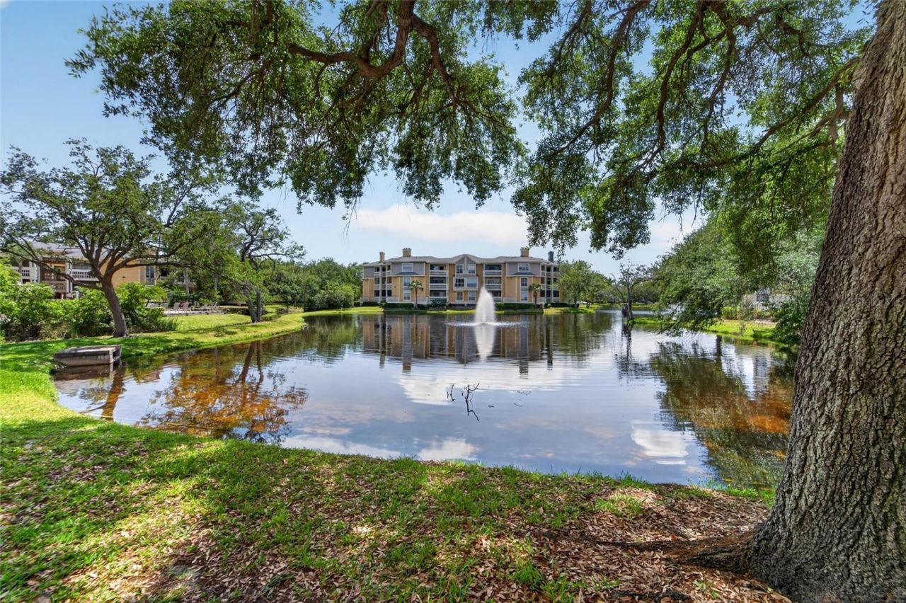 115 112th Avenue Ne, Unit 406, Saint Petersburg, FL 33716 Photo