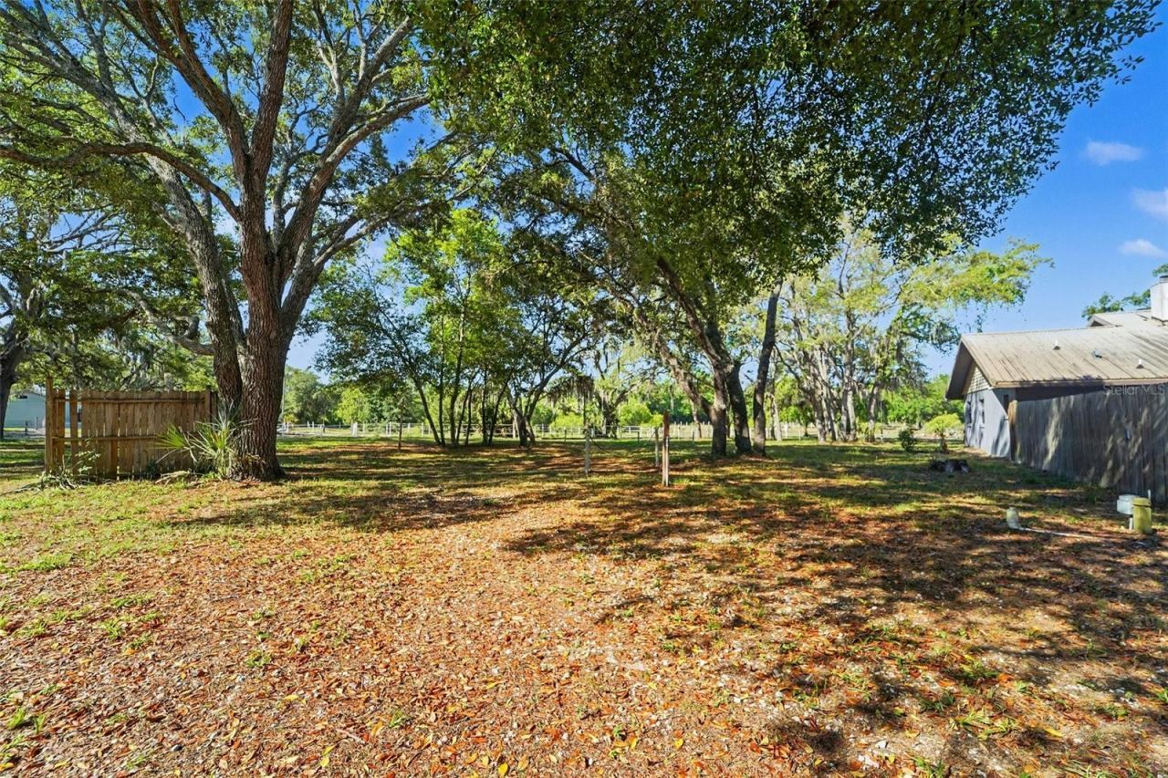 5825 S Bob White Drive, Homosassa, FL 34446 Photo