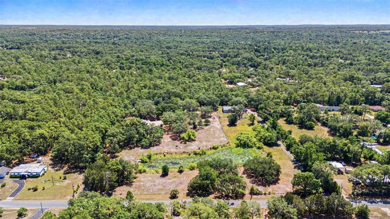 5825 S Bob White Drive, Homosassa, FL 34446 Photo