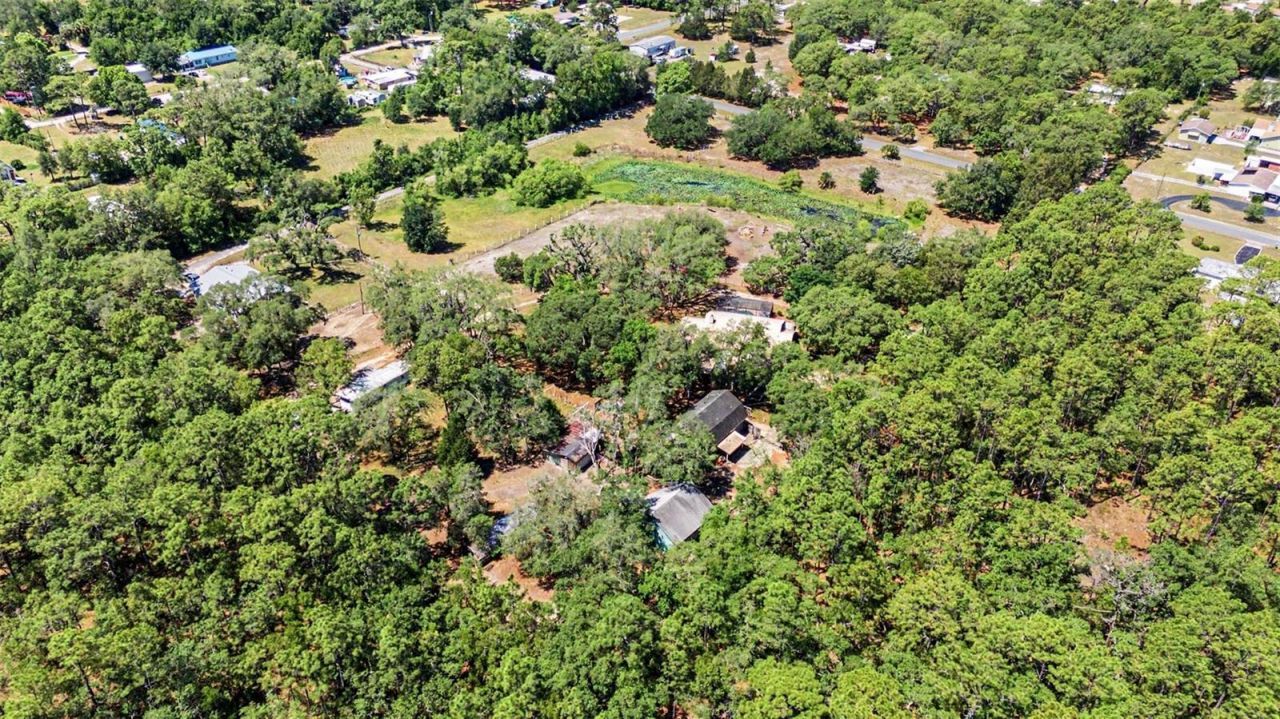 5825 S Bob White Drive, Homosassa, FL 34446 Photo