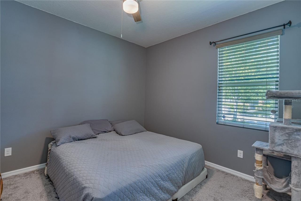 6312 Lantern View Place , Apollo Beach, FL 33572 Photo